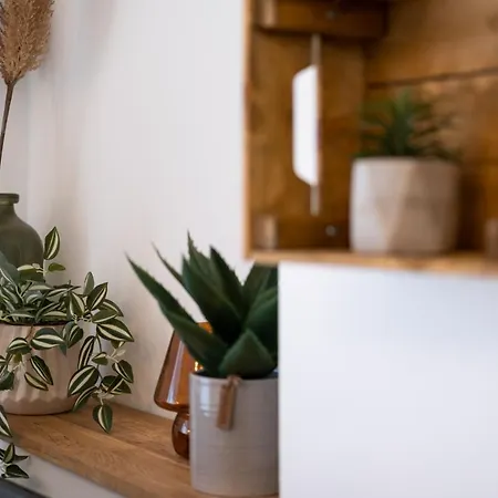 Mh Living - 23 - Scandinavian Living Dream In Center Graz